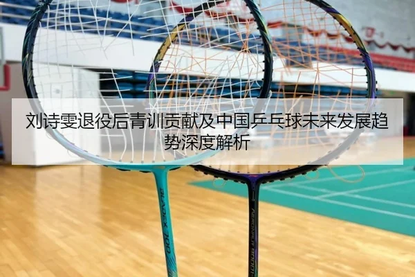 刘诗雯退役后青训贡献及中国乒乓球未来发展趋势深度解析